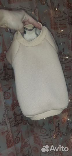 Худи для собак