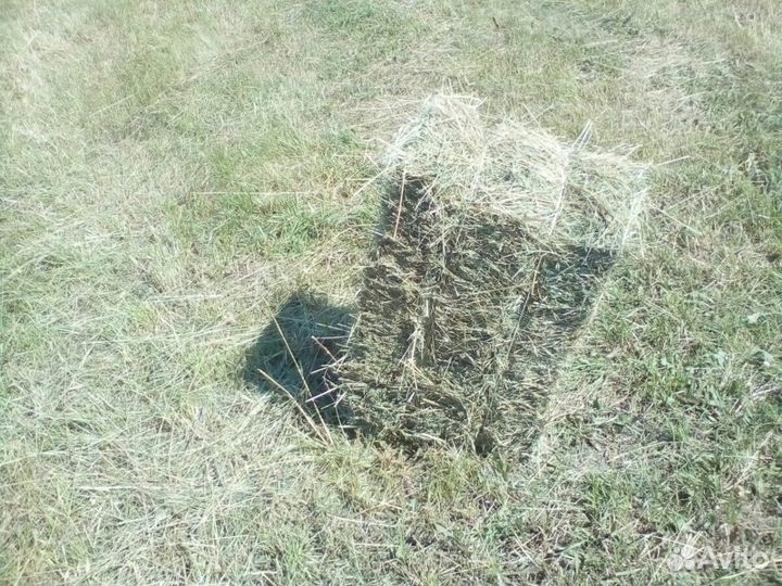 Сено луговое в тюках