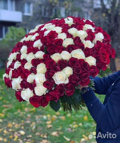 101 роза пион 51 21 тюльпаны гипосфила доставка объявление продам
