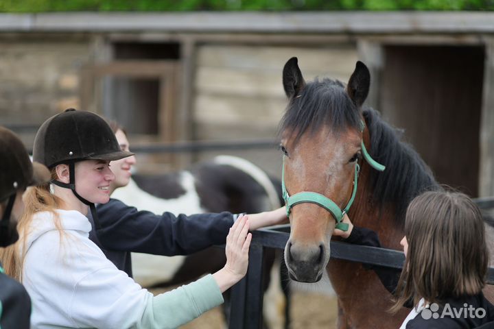 Приглашаем на постой