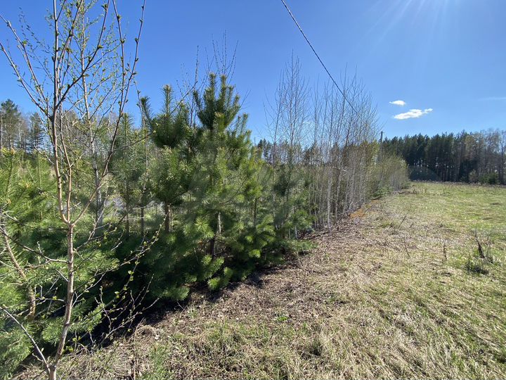 Участок 12,8 сот. (ИЖС)