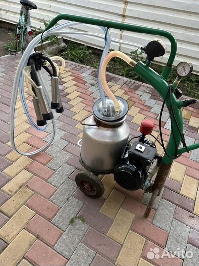 Доильный аппарат