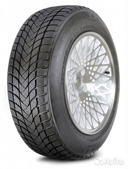 Landsail Winter Lander 205/55 R16 91H