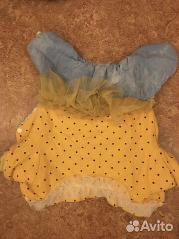 Сумка и одежда для собак