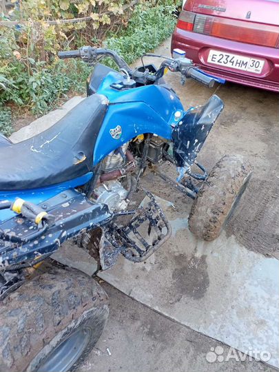 ATV 250 Wasabi