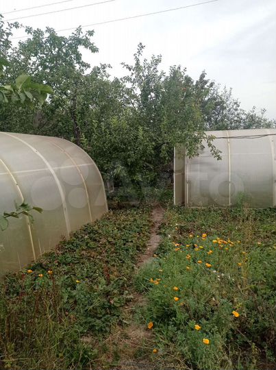 Дача 50 м² на участке 5 сот.