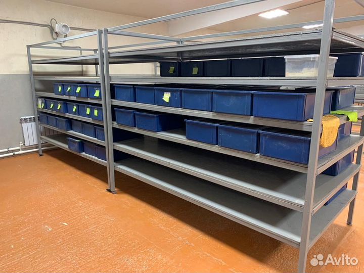 Мучной червь