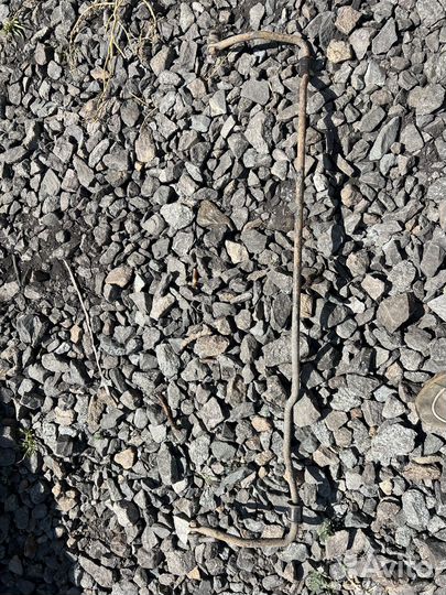 Стабилизатор задний Toyota Carina ST215