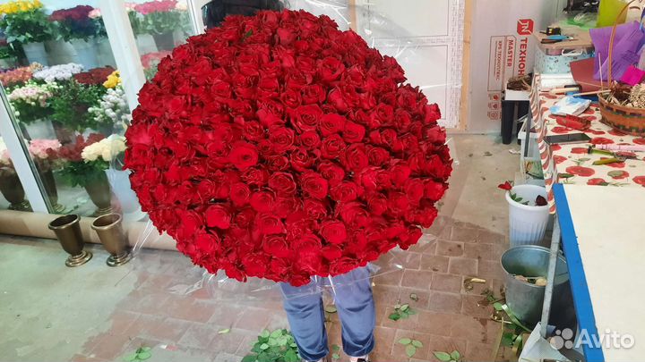 Букет из 201 роз