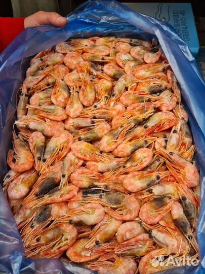 Креветки гренландия 1 кг