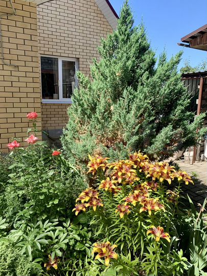 Коттедж 150 м² на участке 6 сот.