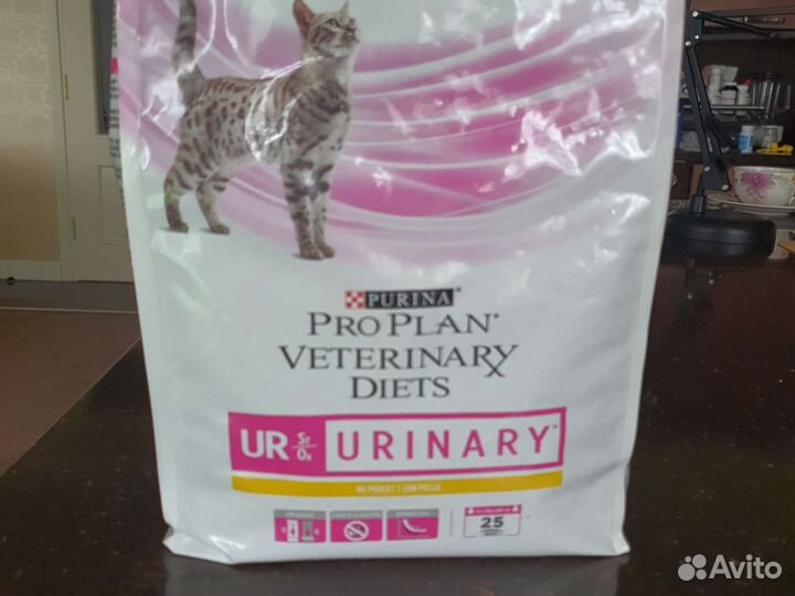 Корм для кошек при мкб