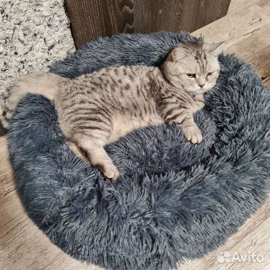 Лежанка
