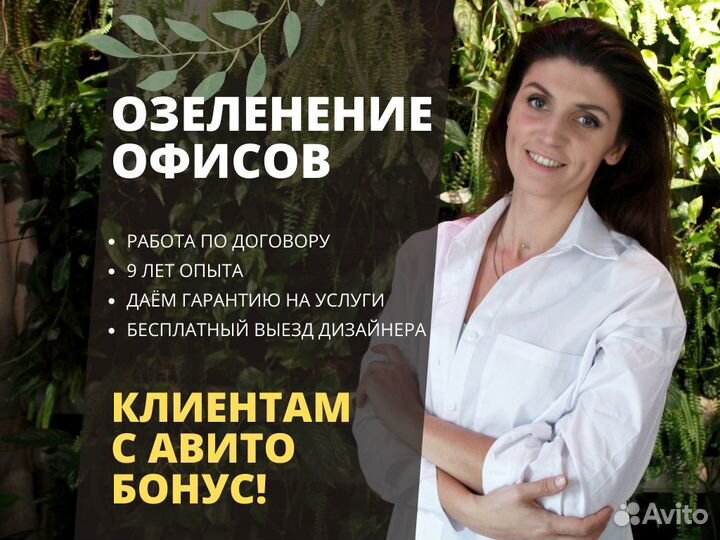 Растения для офиса / дома / ресторана