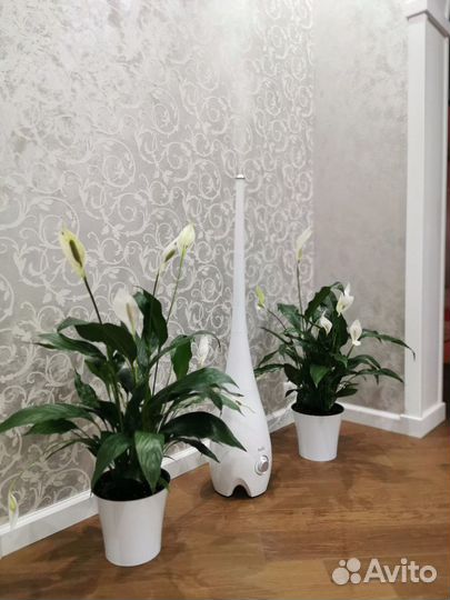 Ультразвуковой увлажнитель Ballu UHB-185