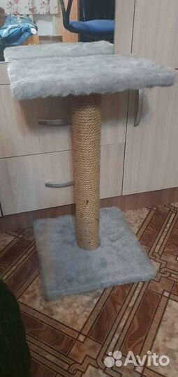 Когтеточка
