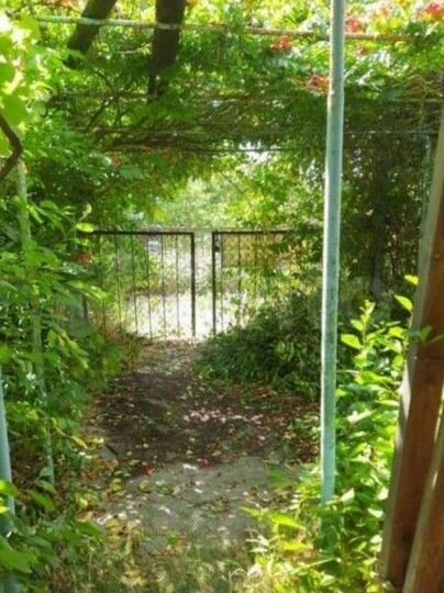 Участок 8,5 сот. (СНТ, ДНП)