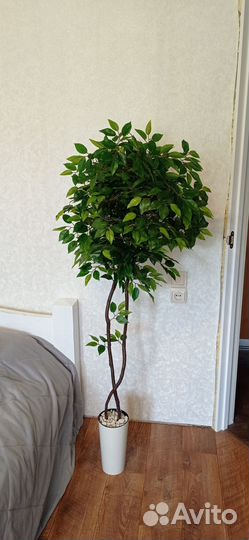 Фикус бенджамина искусственный