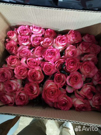 Розы Оптом и штучно