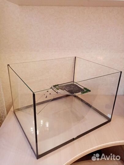 Черепашник