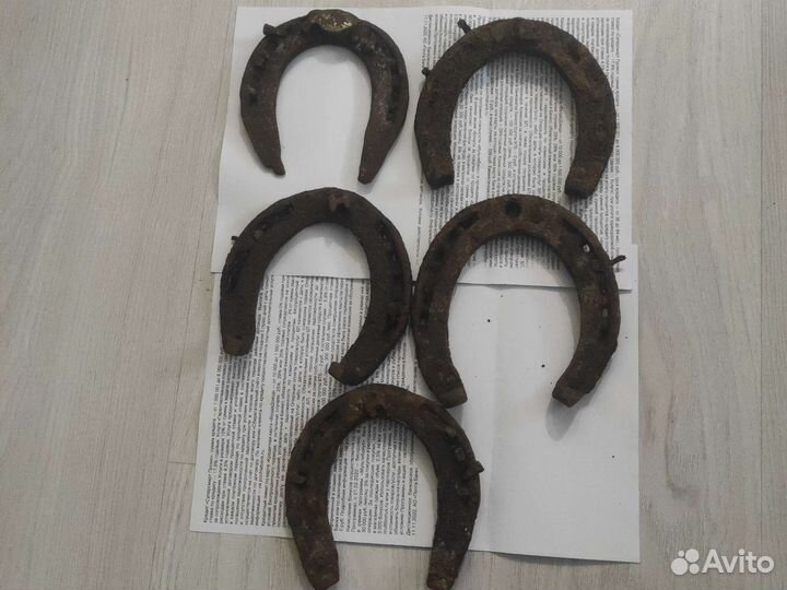 Подкова настоящая