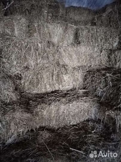 Сено в тюках со склада