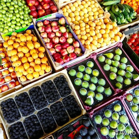 Овощи и фрукты оптом