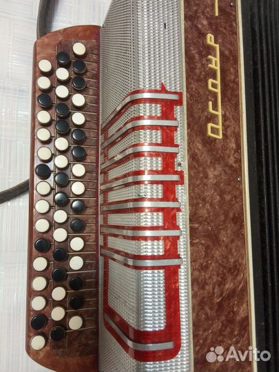 Баян Огонек 2