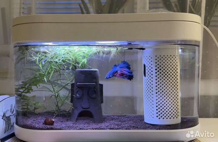 Умный аквариум xiaomi