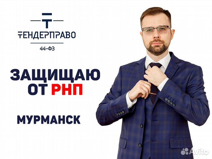 Защищаю от рнп в Мурманске, 44фз, 223фз