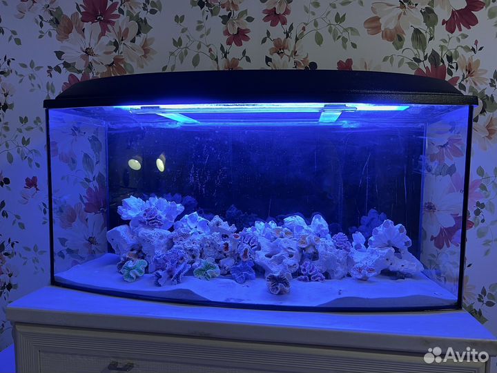 Аквариум 150 литров