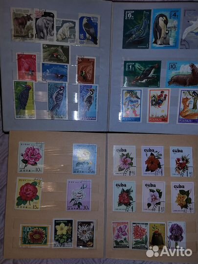 Коллекция почтовых марок