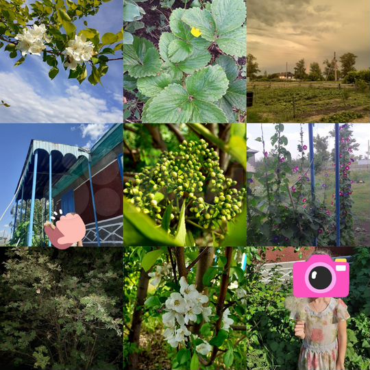 Дом 88 м² на участке 36,8 сот.