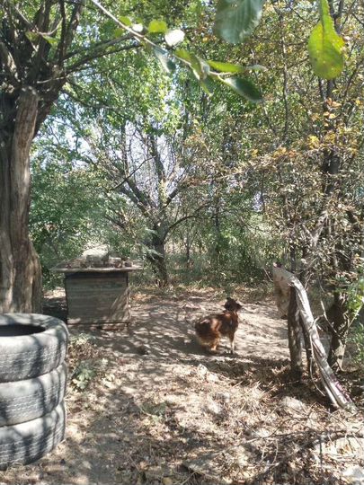 Дом 30 м² на участке 3 сот.