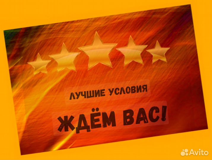 Наборщик заказов Без опыта Еженедельные выплаты