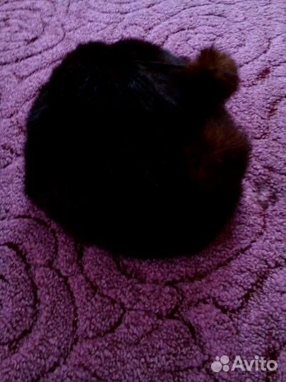 Шапки женские