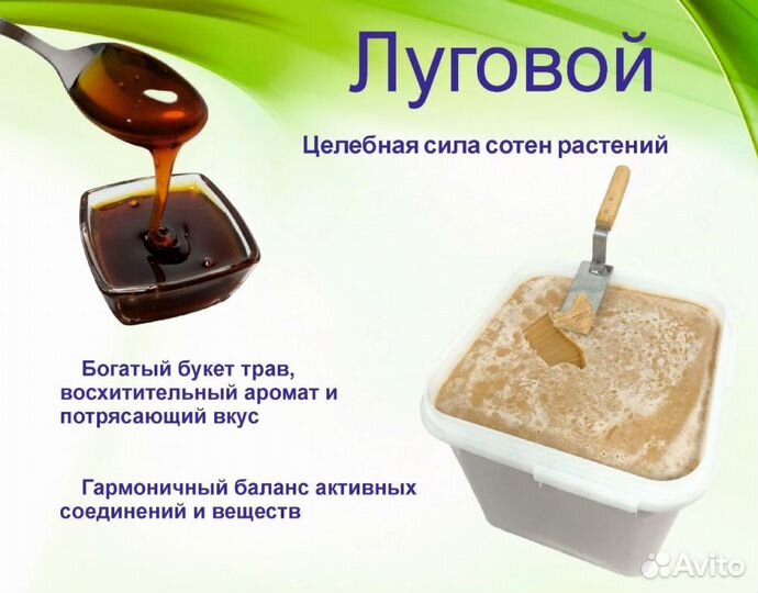 Алтайский мёд 2023 г (опт)