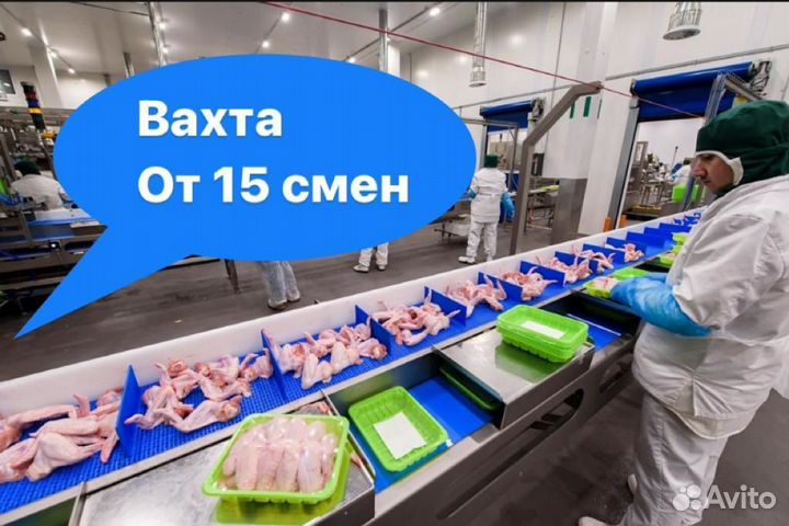 Вахта от 15 смен Белгород Питание Упаковщик-ца