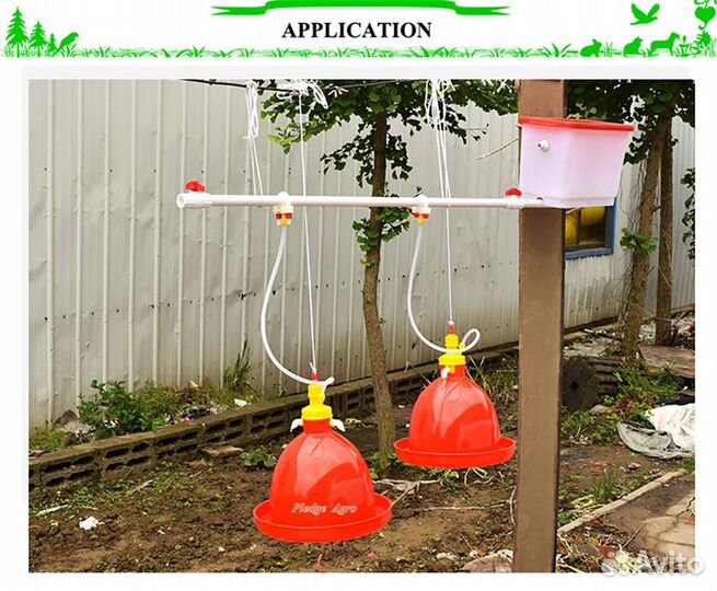 Гусята цыплята бройлер утята