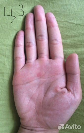 Хиромантия,чтение, обучение