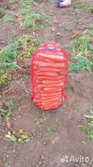 Картофель, лук, морковь, свекла и т.д.с доставкой