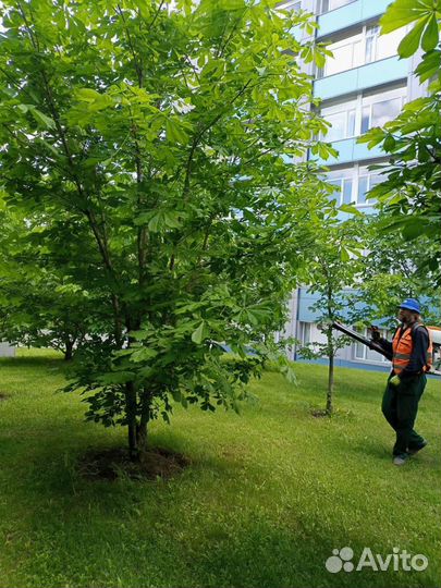 Мастер-агроном