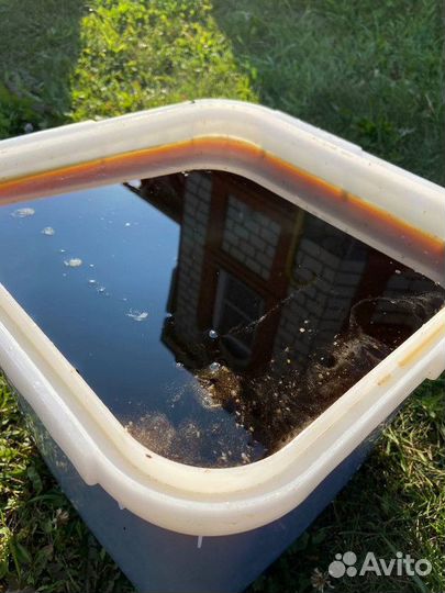 Только оптом мед дягилевый