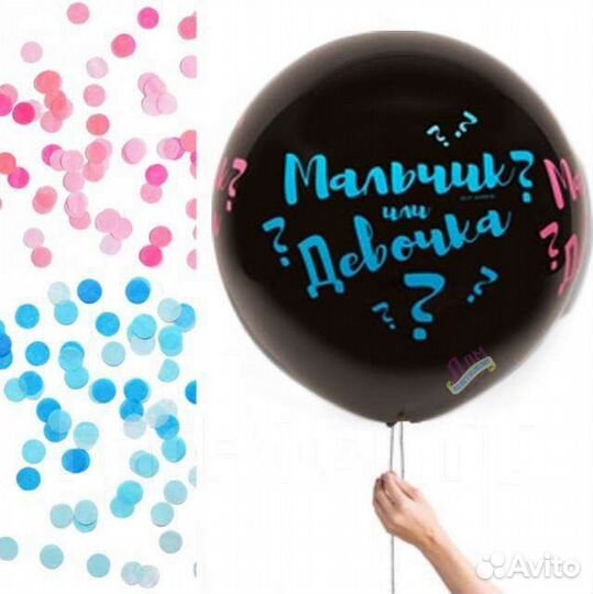 Шарик определение пола