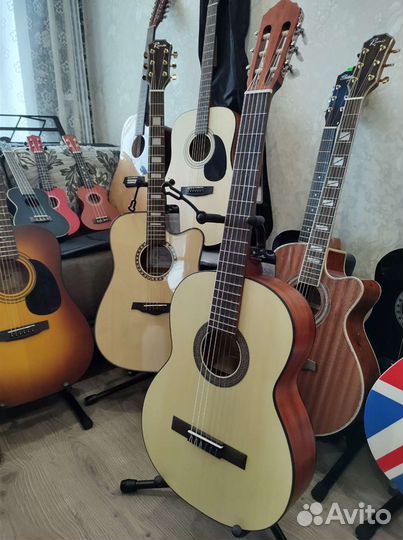 Классическая гитара, Cort