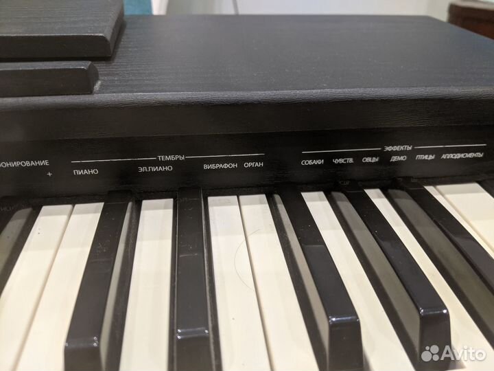 Denn pro pw61 classic (с дефектом)