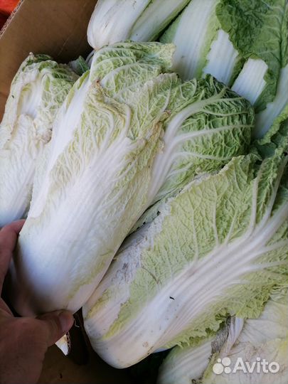 Доставка овощей и фруктов