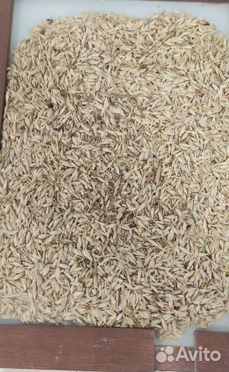 Зерноотходы, отруби, мука в/с, 1/с, 2/с, ржанка