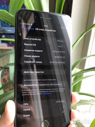iPhone 8 Plus, 64 ГБ