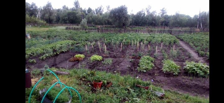 Дом 36 м² на участке 20 сот.